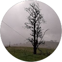 Rositaa profile picture